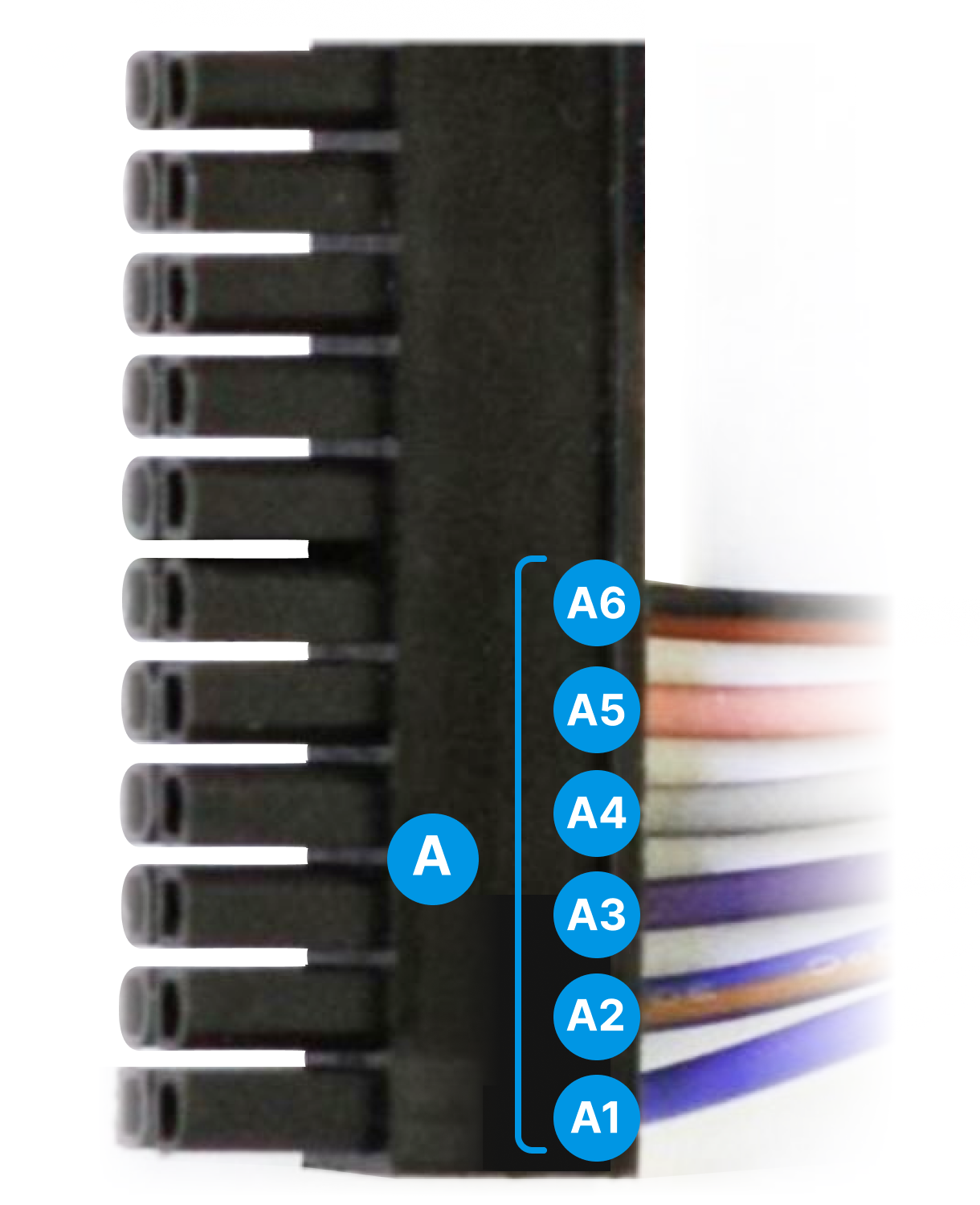 A.png