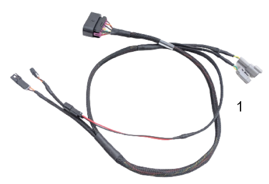 Univ_Backbone_Diagnostic_Harness_1%2B.png